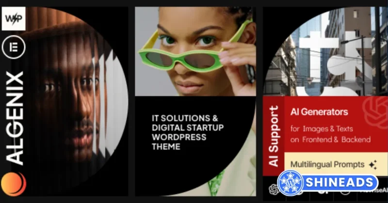 Algenix-IT-Solutions-Digital-Agency-WordPress-Theme-800x419-1.webp