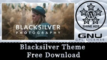 Blacksilver Theme Free Download v9.7