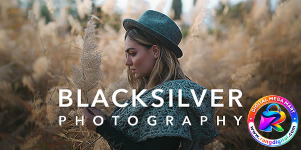 Blacksilver Theme Free Download v9.7