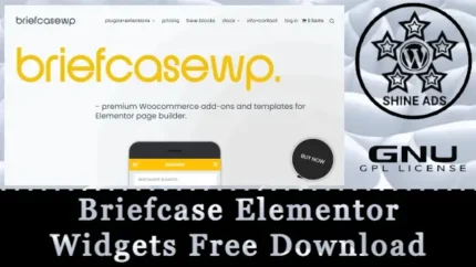 Briefcase Elementor Widgets Free Download v2.1.5