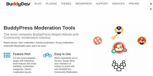 BuddyPress Facebook Like User Activity Stream Free