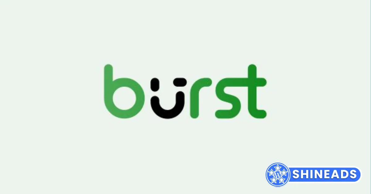 Burst-Pro-E28093-Privacy-Friendly-Analytics-for-WordPress.webp