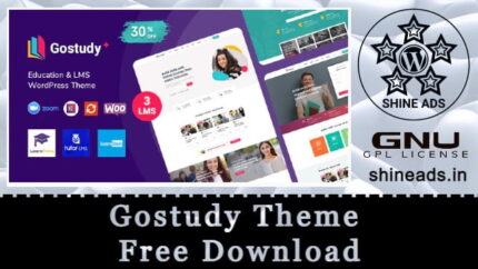 Gostudy Theme Free Download v2.5.5