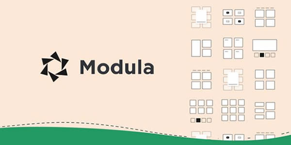 Modula Pro Plugin Free Download v2.10.17