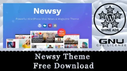Newsy Theme Free Download v2.6.5