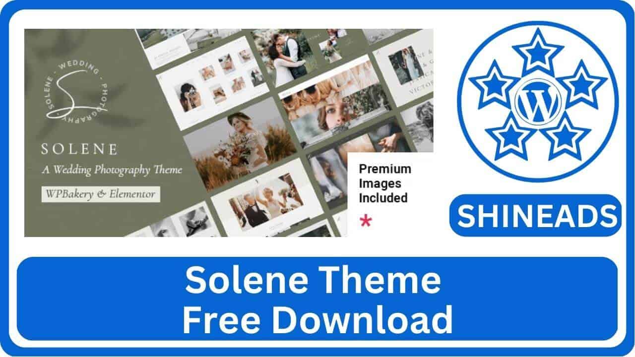 Solene-Theme-Free-Download.jpg