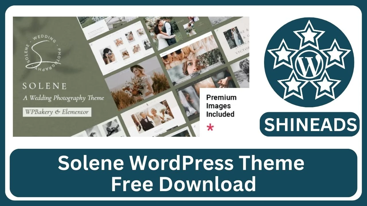 Solene-WordPress-Theme-Free-Download.webp