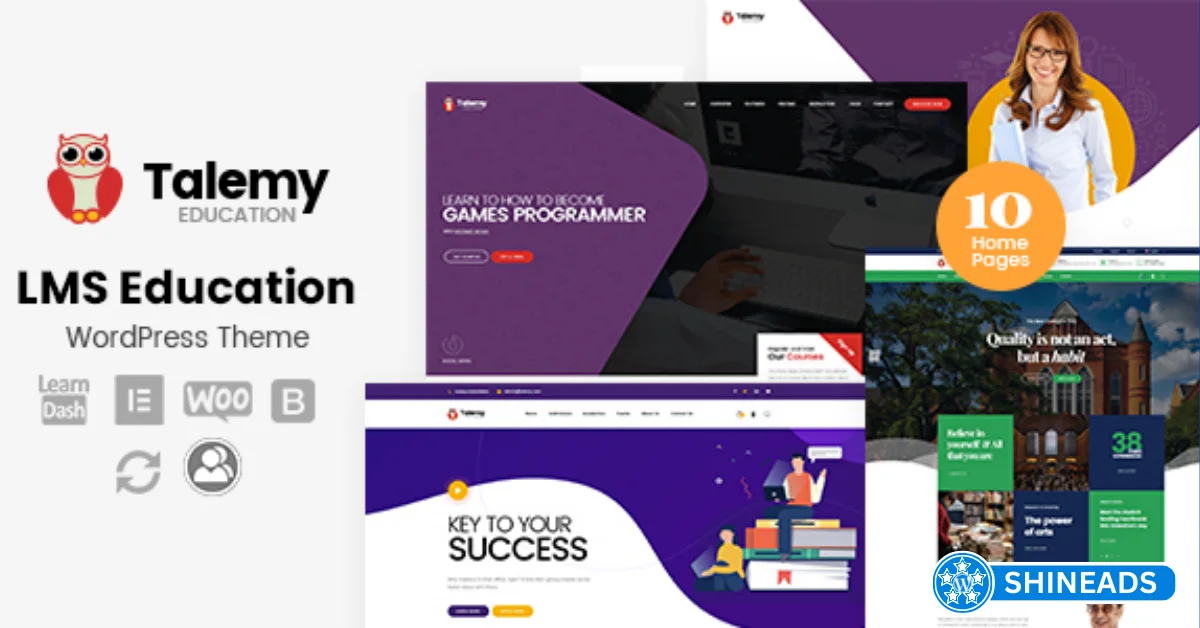Talemy-Theme.webp