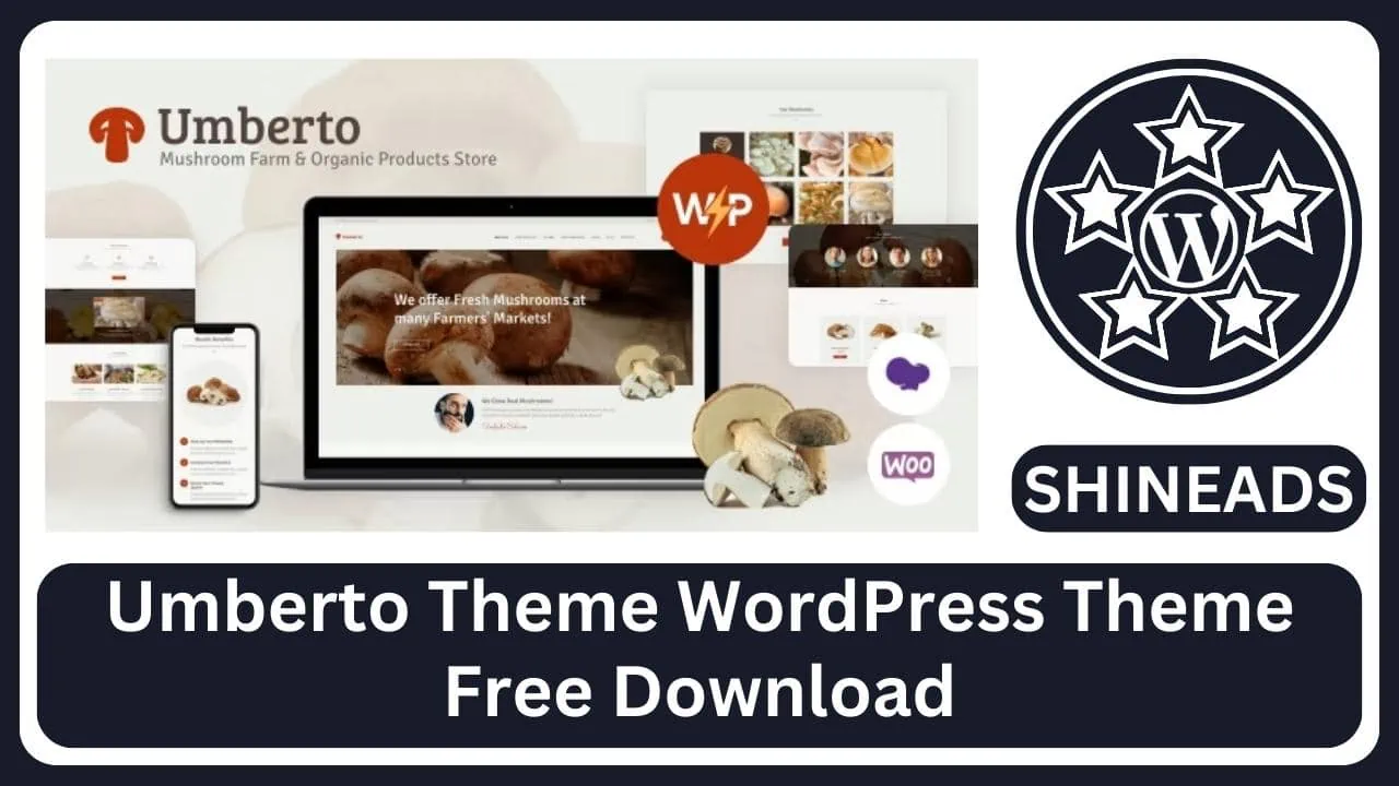 Umberto-Theme-WordPress-Theme-Free-Download.webp