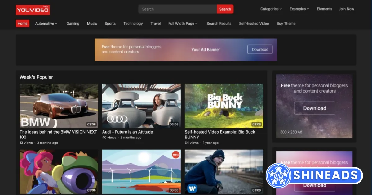 WPEnjoy-Themes-YouVideo-Pro.webp