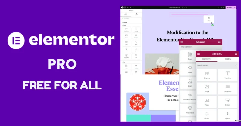 elementor-pro-free-download-1-800x419-1.webp